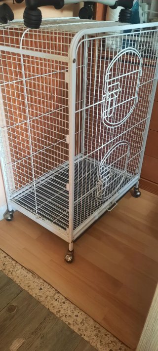 Jaula para loro blanca