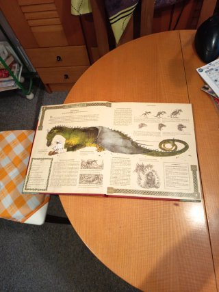 El gran libro de los dragones.