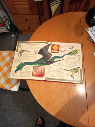 El gran libro de los dragones.