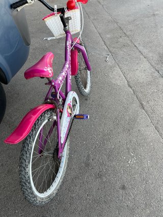 Bicicleta niña rodado 20 pulgadas
