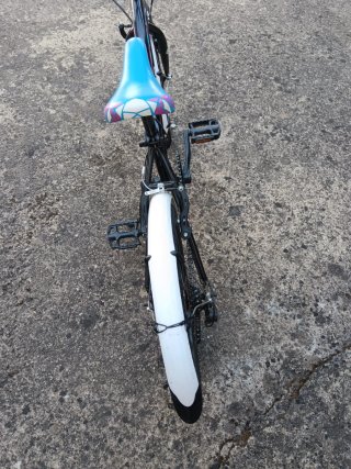 Bicicleta niña DTB Fun 200