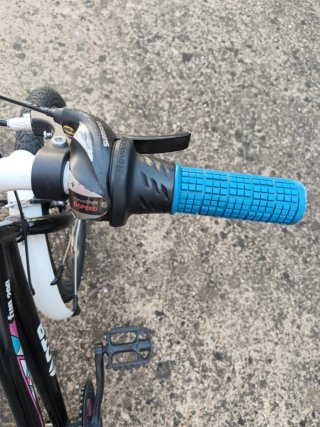 Bicicleta niña DTB Fun 200