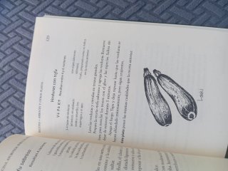 Cocina ayurveda para la autocuración : principi...