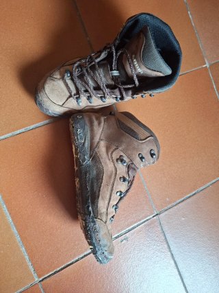 Botas de montaña Lowa Renegade