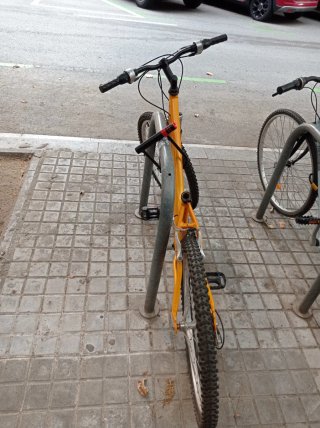 Bicicleta Ruedas 24
