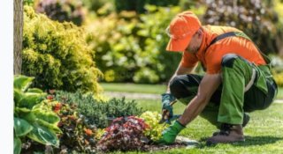 Servicio de limpieza de jardinería