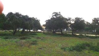Terreno en venta en Pelagatos - Pago del Humo en Chiclana de la Frontera