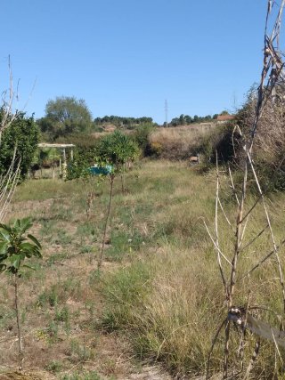 Percela rustica, inversión