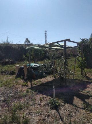 Percela rustica, inversión