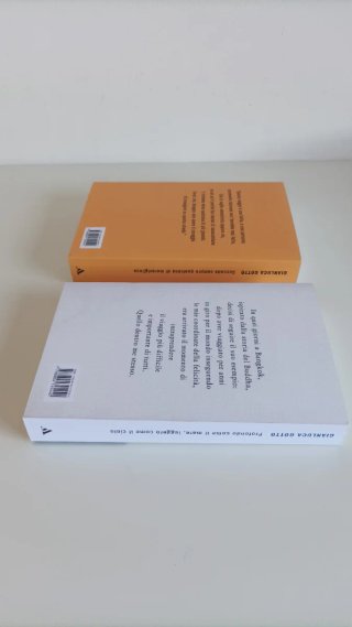 Gianluca Gotto 2 Libri Nuovi.