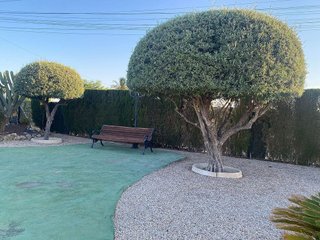 Chalet en venta en La Algoda - Matola - El Pla en Elche