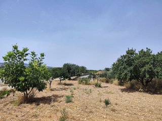 Solar en venta en Calanda