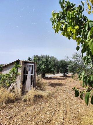 Solar en venta en Calanda