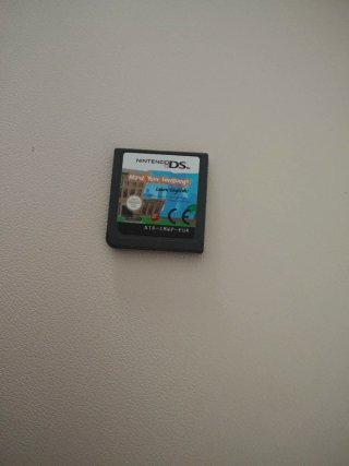 Juego Nintendo DS Mind Your Language