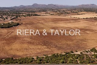 Terreno en venta en Manacor Centro en Manacor