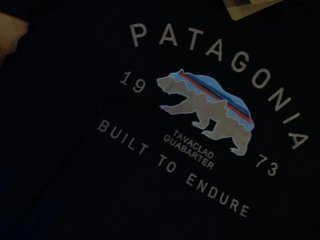 Maglietta Patagonia Uomo Taglia L