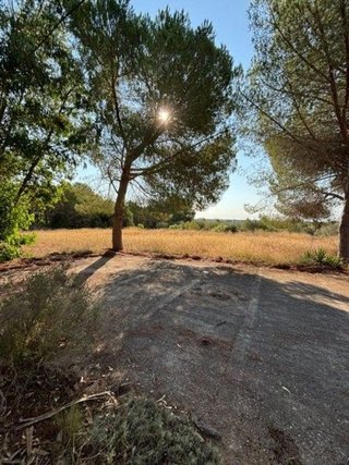 Terreno en venta en Zona Poble en Benicarló