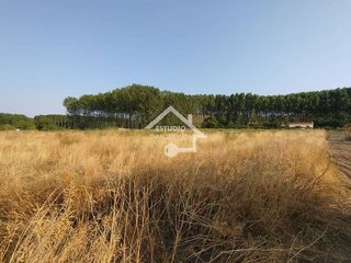 Terreno en venta en Viana