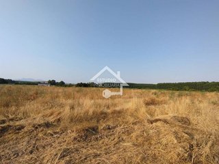 Terreno en venta en Viana