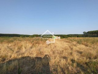 Terreno en venta en Viana