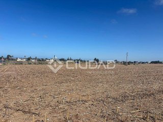 Terreno en venta en Las Palmeras-Dehesilla en Sanlúcar de Barrameda