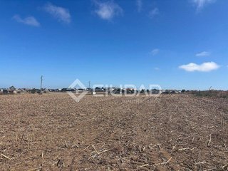 Terreno en venta en Las Palmeras-Dehesilla en Sanlúcar de Barrameda