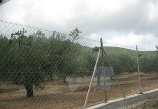 Terreno en venta en Centro en Alcanar