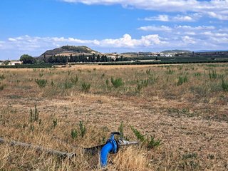 Terreno en venta en Haro