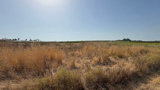 Terreno en venta en Las Palmeras-Dehesilla en Sanlúcar de Barrameda