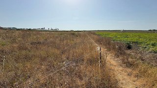 Terreno en venta en Las Palmeras-Dehesilla en Sanlúcar de Barrameda