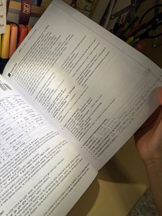 Grammatica d'uso della lingua romena : teoria e...