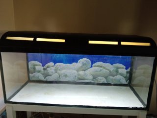 Acuario 160L con luz