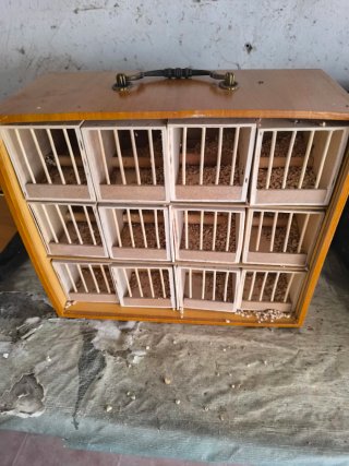 Transportín para pájaros de madera