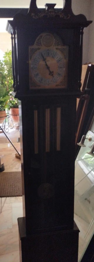 Reloj de péndulo Tempus Fugit