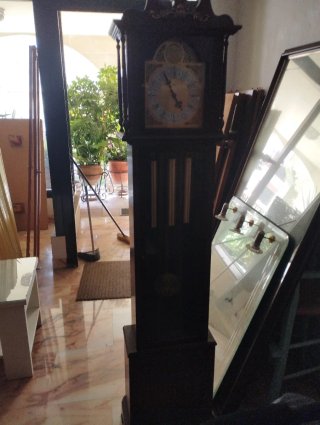 Reloj de péndulo Tempus Fugit