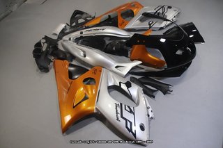 Carenado para YAMAHA Thundercat YZF 600 1996 2007