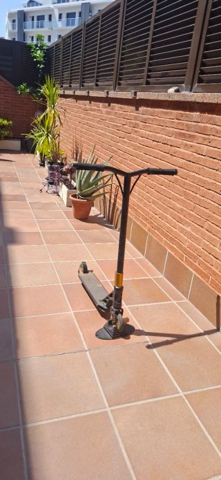 Patinete de Trucos Negro y Dorado