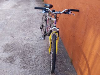 Bicicleta de Montaña Matrix