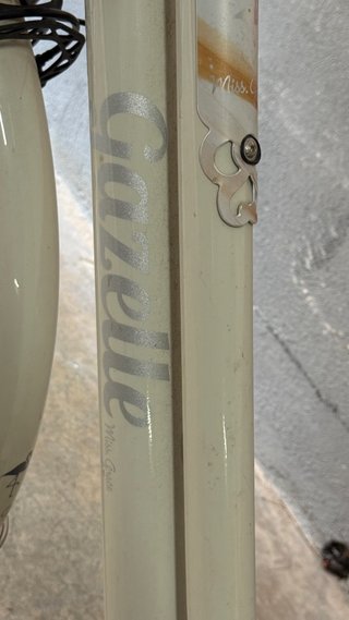 Bicicleta Eléctrica Paseo Gazelle