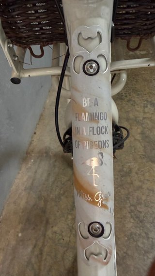 Bicicleta Eléctrica Paseo Gazelle