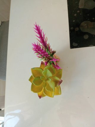Planta artificial acuario con rocas