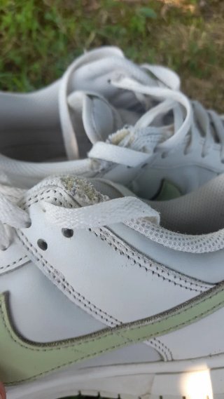 Nike Dunk Bianche e Verdi
