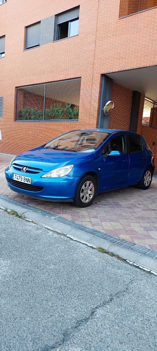 Peugeot 307 1.6 16v 110cv 2002 - foto 1