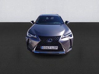 Lexus UX 250h Business 2WD 135 kW (184 CV)