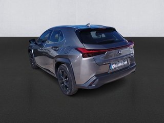 Lexus UX 250h Business 2WD 135 kW (184 CV)