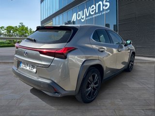 Lexus UX 250h Business 2WD 135 kW (184 CV)
