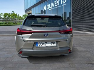 Lexus UX 250h Business 2WD 135 kW (184 CV)