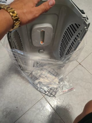 Transportín para mascotas gris con asa naranja