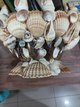 Centro de mesa marino conchas