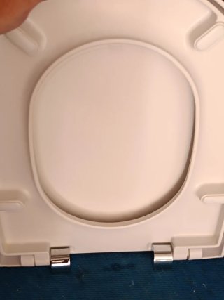 Tapa de inodoro